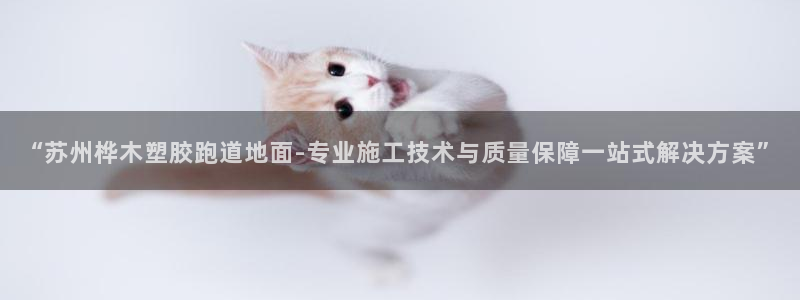 百度红足一1是什么样子的：“苏州桦木塑胶跑道地面-专业施工技术与质量保障一站式解决方案”
