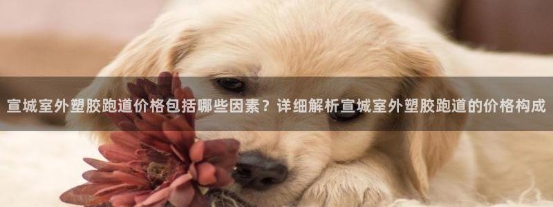百度红足一1是为什么：宣城室外塑胶跑道价格包括哪些因素？详细解析宣城室外塑胶跑道的价格构成