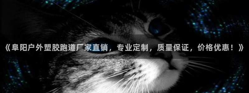 红足1世足球网址：《阜阳户外塑胶跑道厂家直销，专业定制，质量保证，价格优惠！》