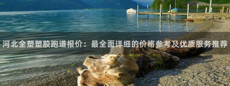 红足一1世77814：河北全塑塑胶跑道报价：最全面详细的价格参考及优质服务推荐