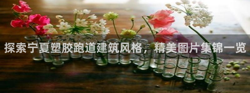 红足一比分网：探索宁夏塑胶跑道建筑风格，精美图片集锦一览
