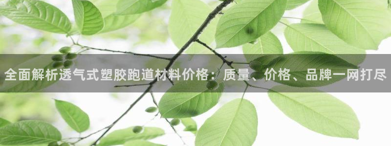 333814红足1世：全面解析透气式塑胶跑道材料价格：质量、价格、品牌一网打尽
