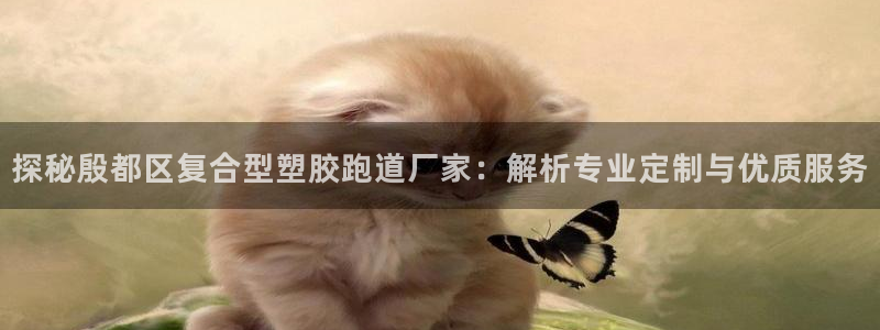 红姐现场直播开奖记录：探秘殷都区复合型塑胶跑道厂家：解析专业定制与优质服务