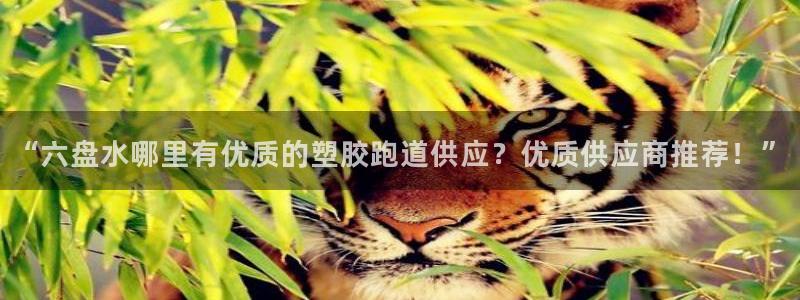 红足1世足球比分预测