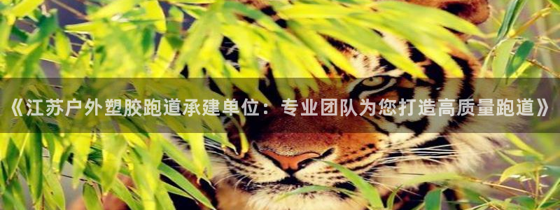红足一1世66814：《江苏户外塑胶跑道承建单位：专业团队为您打造高质量跑道》