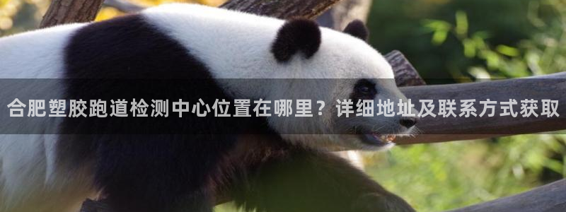 红足一一世：合肥塑胶跑道检测中心位置在哪里？详细地址及联系方式获取