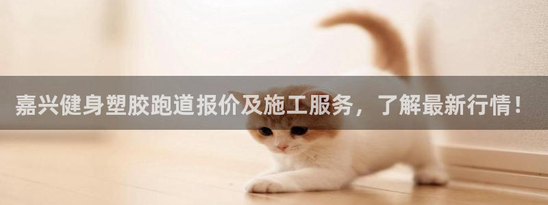 红足一1世比分球探：嘉兴健身塑胶跑道报价及施工服务，了解最新行情！