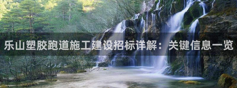 红足一1世666814足球比分网：乐山塑胶跑道施工建设招标详解：关键信息一览