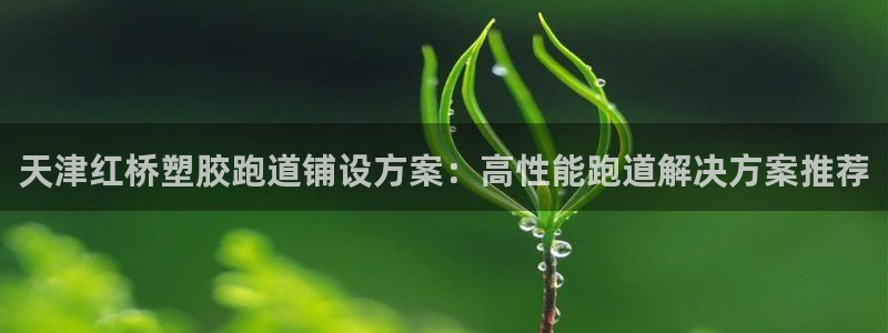 红足一1世比分球探：天津红桥塑胶跑道铺设方案：高性能跑道解决方案推荐