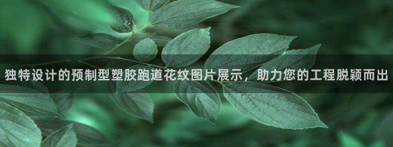 红足1世足球比分 localhost：独特设计的预制型塑胶跑道花纹图片展示，助力您的工程脱颖而出