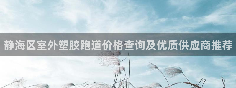 红足1世足球网址大全：静海区室外塑胶跑道价格查询及优质供应商推荐
