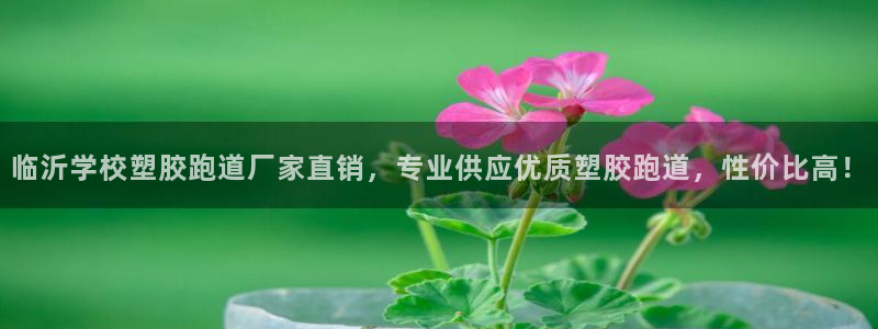 红足一1世比分网：临沂学校塑胶跑道厂家直销，专业供应优质塑胶跑道，性价比高！