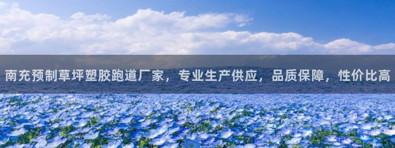 红足一1世手机版新皇冠：南充预制草坪塑胶跑道厂家，专业生产供应，品质保障，性价比高