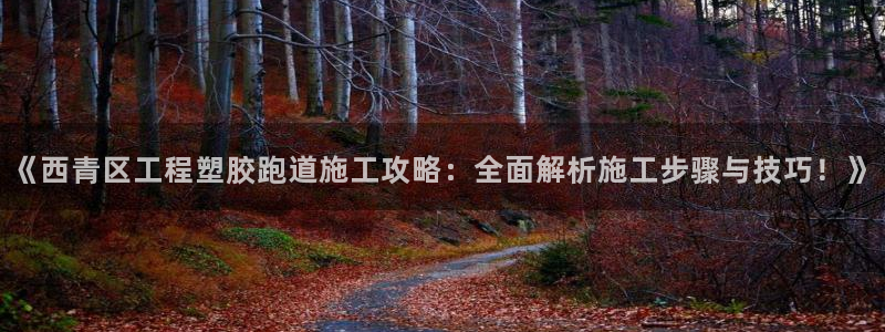 红足1世足球比分：《西青区工程塑胶跑道施工攻略：全面解析施工步骤与技巧！》