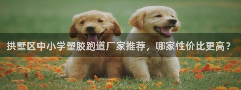 红足1世手机下载：拱墅区中小学塑胶跑道厂家推荐，哪家性价比更高？