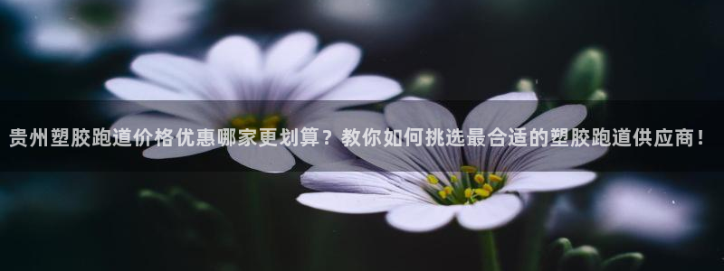 红足1世官网：贵州塑胶跑道价格优惠哪家更划算？教你如何挑选最合适的塑胶跑道供应商！