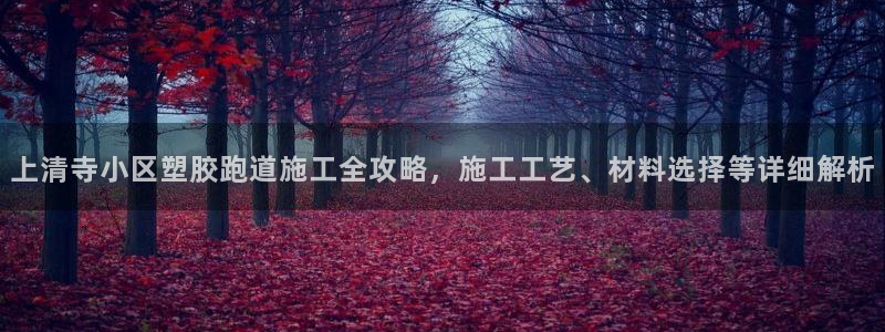 红足1世足球网址大全：上清寺小区塑胶跑道施工全攻略，施工工艺、材料选择等详细解析