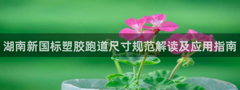 红足一1世666814最新结果：湖南新国标塑胶跑道尺寸规范解读及应用指南