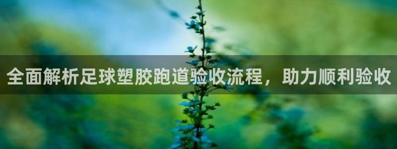 红足一1世66814新宝：全面解析足球塑胶跑道验收流程，助力顺利验收