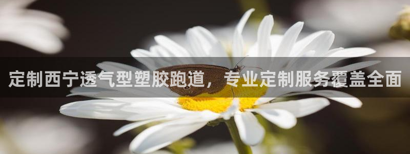 百度红足一1世：定制西宁透气型塑胶跑道，专业定制服务覆盖全面