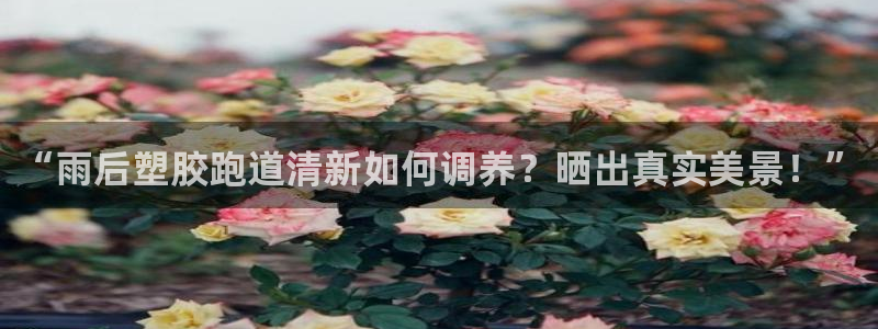 红足1一世 2站：“雨后塑胶跑道清新如何调养？晒出真实美景！”