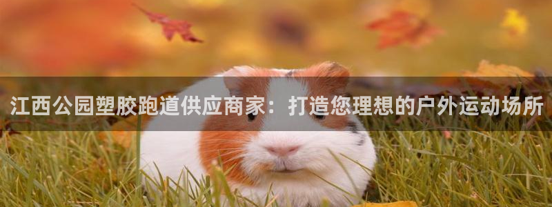 红足1世手机下载：江西公园塑胶跑道供应商家：打造您理想的户外运动场所