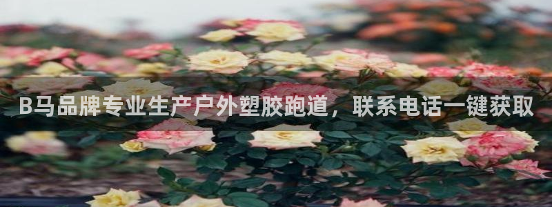 红足1世手足球比分：B马品牌专业生产户外塑胶跑道，联系电话一键获取