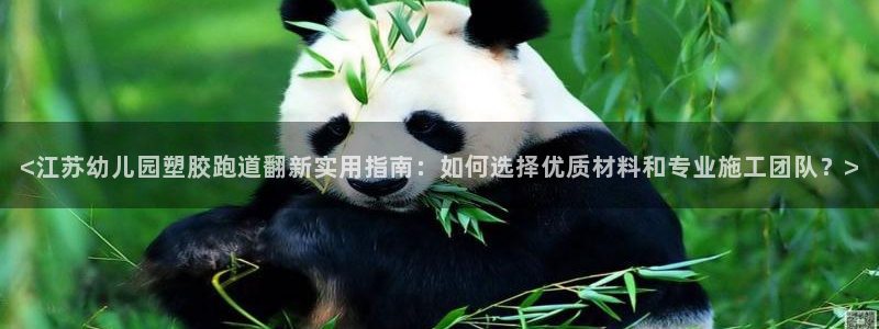 红足1世手足球比分：<江苏幼儿园塑胶跑道翻新实用指南：如何选择优质材料和专业施工团队？>