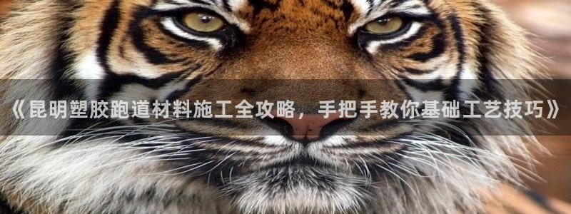 红足一1世官网：《昆明塑胶跑道材料施工全攻略，手把手教你基础工艺技巧》