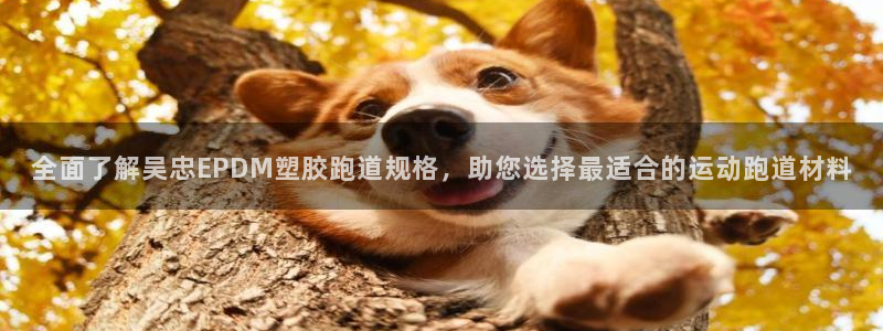百度红足一1是干什么的：全面了解吴忠EPDM塑胶跑道规格，助您选择最适合的运动跑道材料
