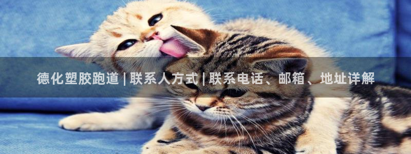 红足1世1站2站管理网：德化塑胶跑道 | 联系人方式 | 联系电话、邮箱、地址详解