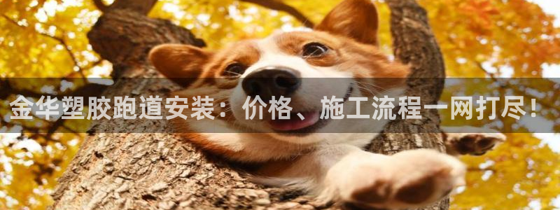 777814红·足一世：金华塑胶跑道安装：价格、施工流程一网打尽！