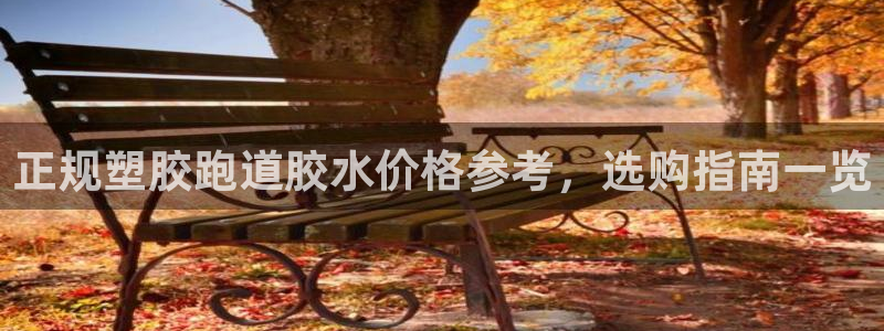 红足1世足球比分预测：正规塑胶跑道胶水价格参考，选购指南一览