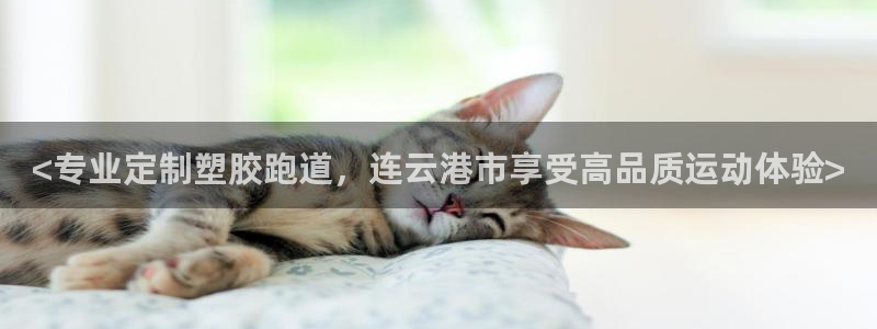 百度红足一1是为什么：<专业定制塑胶跑道，连云港市享受高品质运动体验>