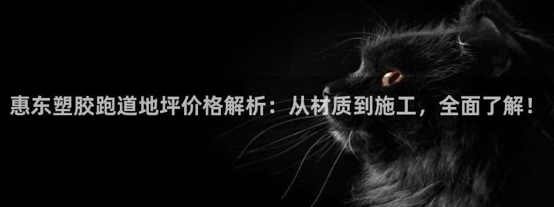 红足一1世666814最新结果：惠东塑胶跑道地坪价格解析：从材质到施工，全面了解！