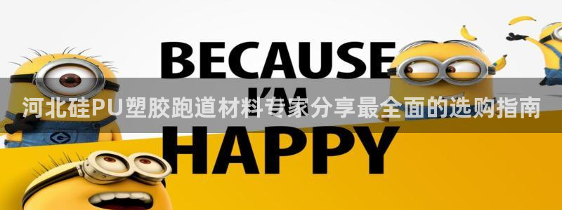 红足一1世官网足球推荐真人：河北硅PU塑胶跑道材料专家分享最全面的选购指南