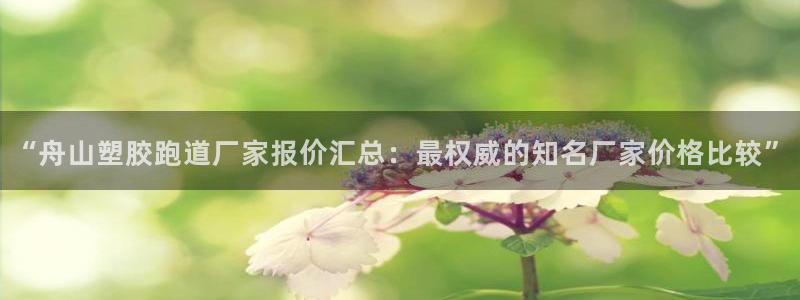 红足一1世：“舟山塑胶跑道厂家报价汇总：最权威的知名厂家价格比较”