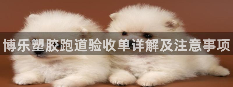 红足1世手足球比分