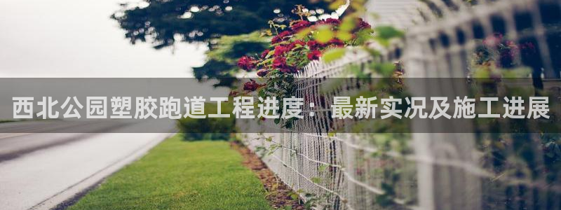 红足一1世：西北公园塑胶跑道工程进度：最新实况及施工进展