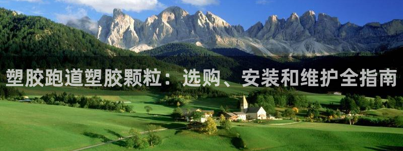 红足一1世66814新宝：塑胶跑道塑胶颗粒：选购、安装和维护全指南