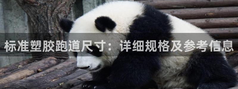 红足一比分网：标准塑胶跑道尺寸：详细规格及参考信息