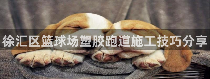 红足1世手足球比分：徐汇区篮球场塑胶跑道施工技巧分享