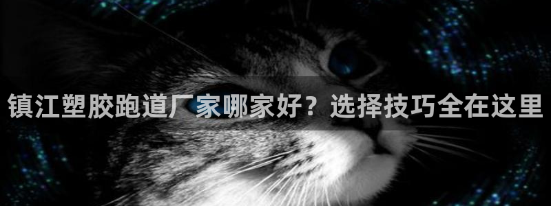 红足一1世即时比分