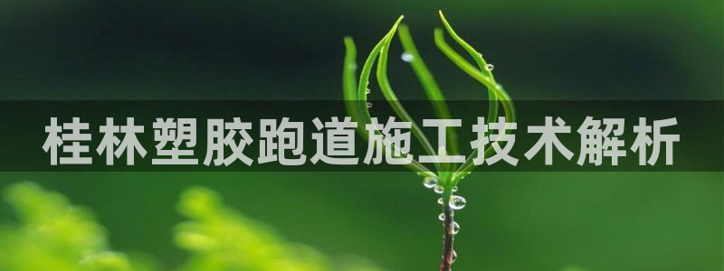 百度红足一1是为什么：桂林塑胶跑道施工技术解析