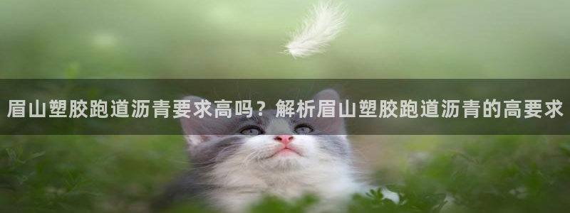红足1世手足球比分