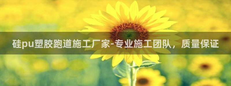 红足1世手足球比分：硅pu塑胶跑道施工厂家-专业施工团队，质量保证