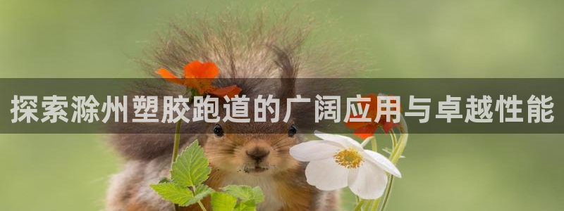 红足1一世
