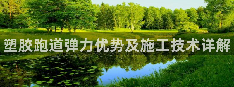 红足1世手机板