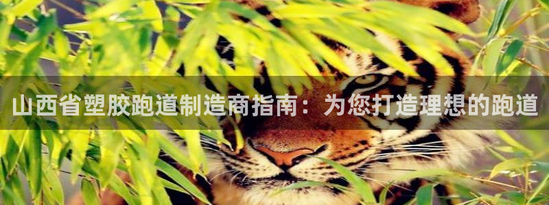 百度红足一1视频在线观看
