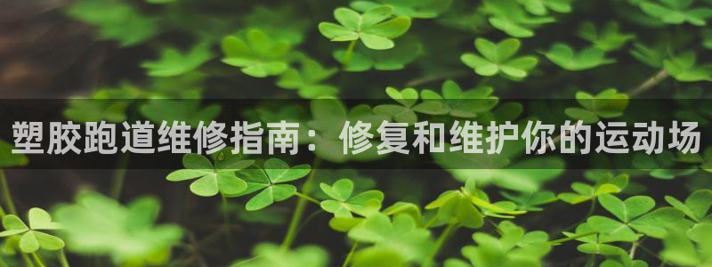 红足一1世即时比分